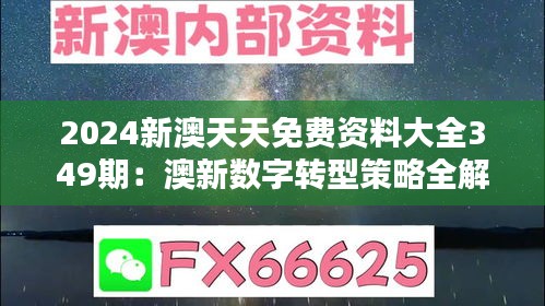 2024新澳天天免費(fèi)資料大全349期：澳新數(shù)字轉(zhuǎn)型策略全解析