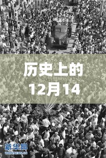 歷史上的12月14日2024新澳門免費(fèi)長期資料：見證澳門歷史的轉(zhuǎn)折點(diǎn)