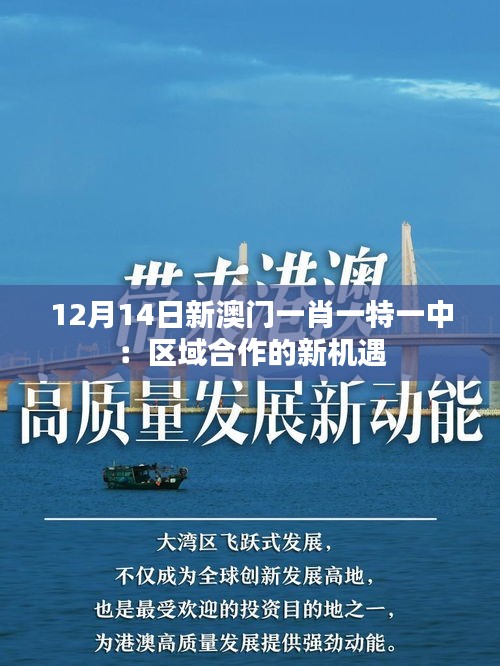 12月14日新澳門一肖一特一中：區(qū)域合作的新機遇