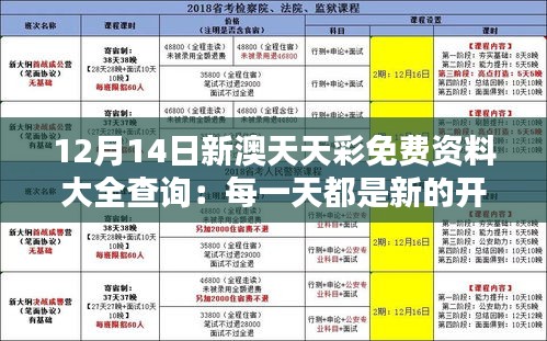 12月14日新澳天天彩免費(fèi)資料大全查詢：每一天都是新的開始