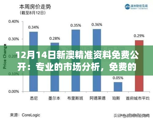 12月14日新澳精準資料免費公開：專業(yè)的市場分析，免費的資源共享