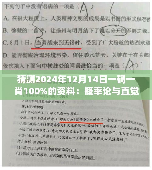 猜測(cè)2024年12月14日一碼一肖100%的資料：概率論與直覺的對(duì)決