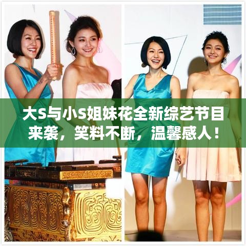 大S與小S姐妹花全新綜藝節(jié)目來襲，笑料不斷，溫馨感人！