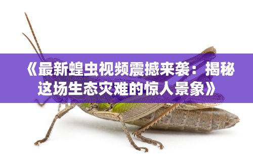 怨天怨地 第4頁(yè)
