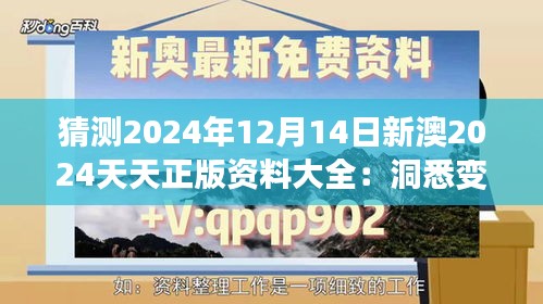 猜測(cè)2024年12月14日新澳2024天天正版資料大全：洞悉變化，掌握先機(jī)