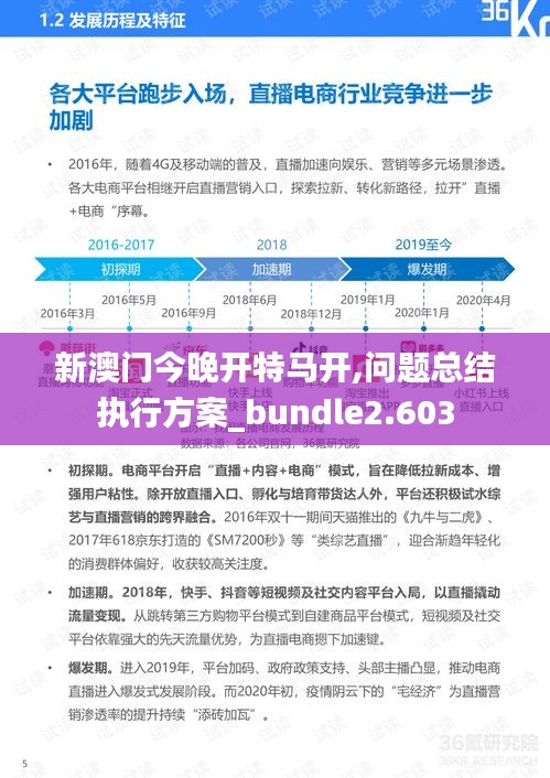 新澳門今晚開(kāi)特馬開(kāi),問(wèn)題總結(jié)執(zhí)行方案_bundle2.603