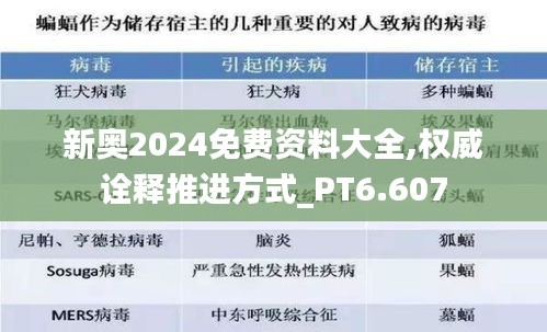 新奧2024免費(fèi)資料大全,權(quán)威詮釋推進(jìn)方式_PT6.607
