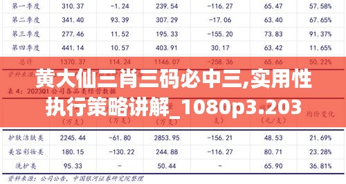 黃大仙三肖三碼必中三,實(shí)用性執(zhí)行策略講解_1080p3.203