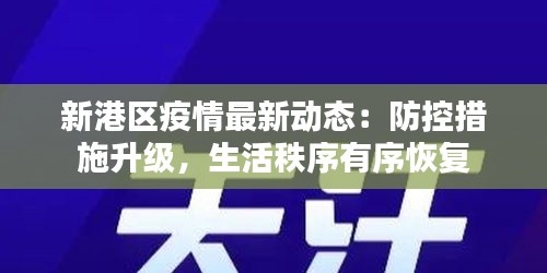 新港區(qū)疫情最新動(dòng)態(tài)：防控措施升級(jí)，生活秩序有序恢復(fù)