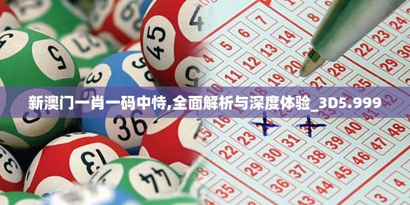 新澳門一肖一碼中恃,全面解析與深度體驗(yàn)_3D5.999