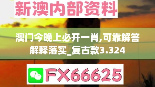 澳門(mén)今晚上必開(kāi)一肖,可靠解答解釋落實(shí)_復(fù)古款3.324
