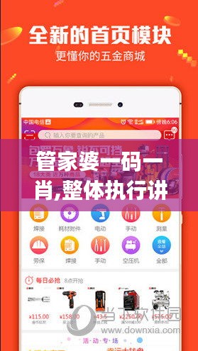 管家婆一碼一肖,整體執(zhí)行講解_Windows110.988