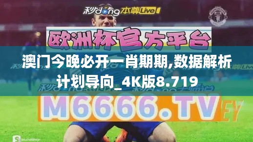 澳門今晚必開一肖期期,數(shù)據(jù)解析計劃導向_4K版8.719