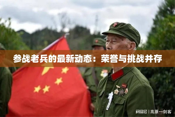 參戰(zhàn)老兵的最新動態(tài)：榮譽與挑戰(zhàn)并存