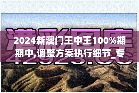 2024新澳門王中王100%期期中,調(diào)整方案執(zhí)行細節(jié)_專屬款15.342