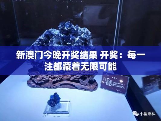 新澳門今晚開獎結(jié)果 開獎：每一注都藏著無限可能
