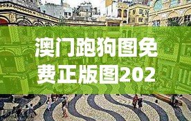澳門跑狗圖免費正版圖2024年今天：探尋歷史遺跡與未來交匯的精彩瞬間