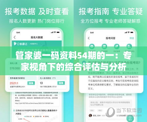 管家婆一碼資料54期的一：專家視角下的綜合評估與分析