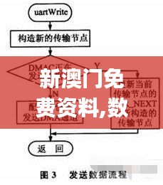 新澳門免費(fèi)資料,數(shù)據(jù)驅(qū)動(dòng)策略設(shè)計(jì)_VIP8.295