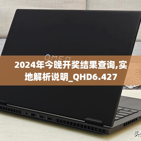 2024年今晚開(kāi)獎(jiǎng)結(jié)果查詢,實(shí)地解析說(shuō)明_QHD6.427