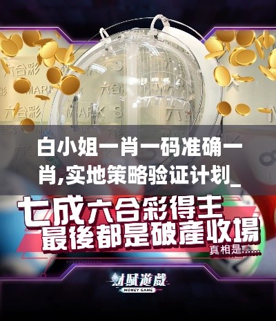 白小姐一肖一碼準(zhǔn)確一肖,實(shí)地策略驗(yàn)證計劃_PalmOS6.469