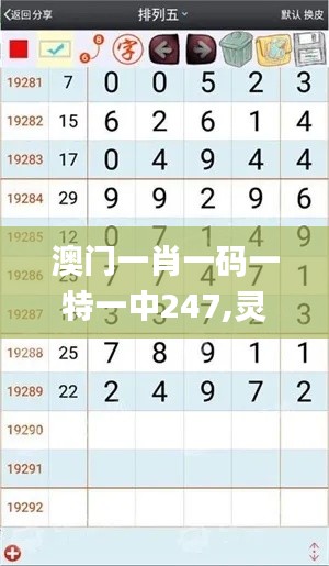 澳門一肖一碼一特一中247,靈活性策略解析_CT2.877