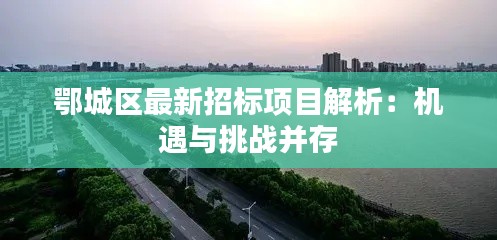 鄂城區(qū)最新招標(biāo)項(xiàng)目解析：機(jī)遇與挑戰(zhàn)并存