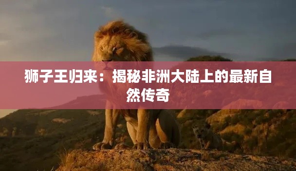 獅子王歸來(lái)：揭秘非洲大陸上的最新自然傳奇