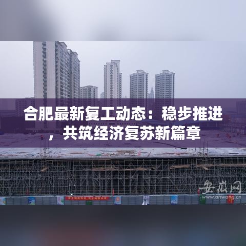 合肥最新復(fù)工動態(tài)：穩(wěn)步推進(jìn)，共筑經(jīng)濟(jì)復(fù)蘇新篇章