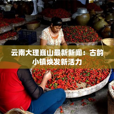云南大理巍山最新新聞：古韻小鎮(zhèn)煥發(fā)新活力