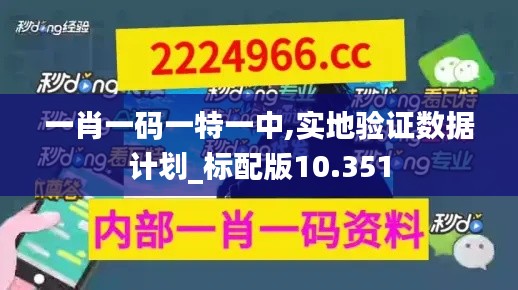 一肖一碼一特一中,實(shí)地驗(yàn)證數(shù)據(jù)計(jì)劃_標(biāo)配版10.351