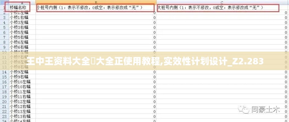 王中王資料大全枓大全正使用教程,實效性計劃設計_Z2.283
