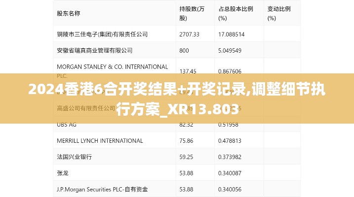 2024香港6合開獎結果+開獎記錄,調整細節(jié)執(zhí)行方案_XR13.803