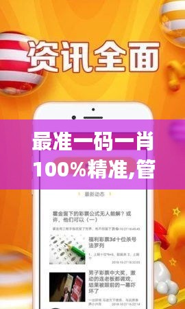 最準(zhǔn)一碼一肖100%精準(zhǔn),管家婆大小中特,迅速執(zhí)行設(shè)計(jì)方案_Z5.769
