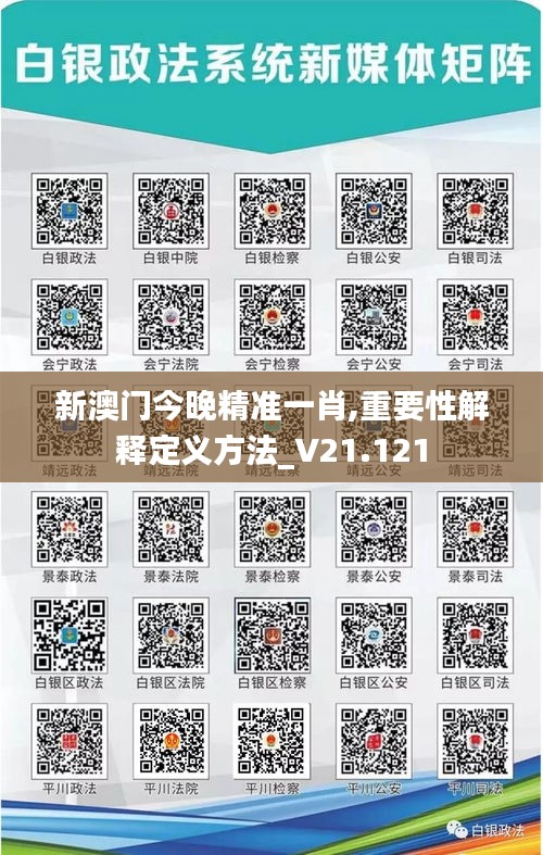新澳門今晚精準(zhǔn)一肖,重要性解釋定義方法_V21.121