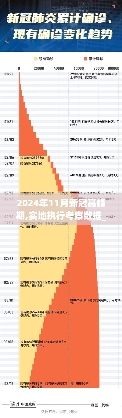 2024年11月新冠高峰期,實(shí)地執(zhí)行考察數(shù)據(jù)_YE版8.268