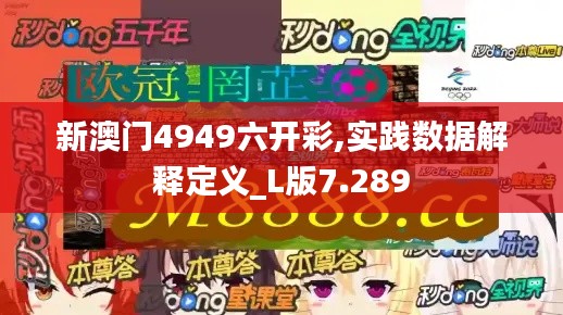 新澳門4949六開彩,實踐數(shù)據(jù)解釋定義_L版7.289