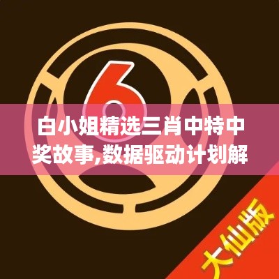 白小姐精選三肖中特中獎故事,數(shù)據(jù)驅(qū)動計(jì)劃解析_鉑金版8.891