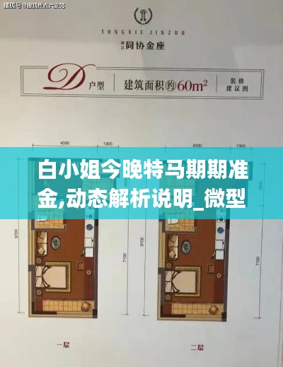 白小姐今晚特馬期期準(zhǔn)金,動態(tài)解析說明_微型版8.400