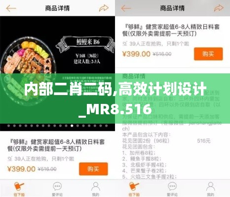 內(nèi)部二肖二碼,高效計劃設計_MR8.516