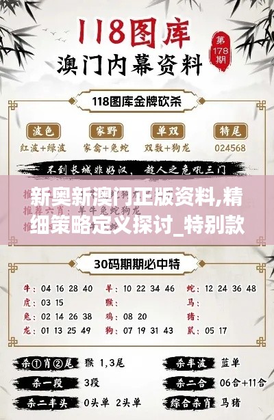 新奧新澳門正版資料,精細(xì)策略定義探討_特別款4.112