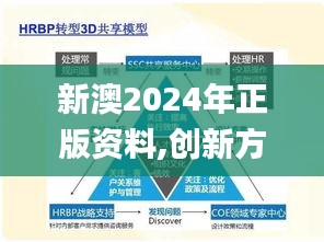 新澳2024年正版資料,創(chuàng)新方案解析_AP11.561