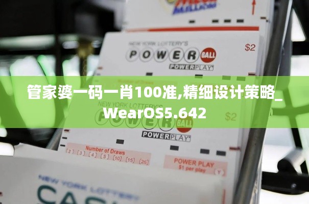 管家婆一碼一肖100準(zhǔn),精細(xì)設(shè)計(jì)策略_WearOS5.642