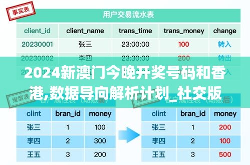 2024新澳門今晚開獎號碼和香港,數據導向解析計劃_社交版7.899
