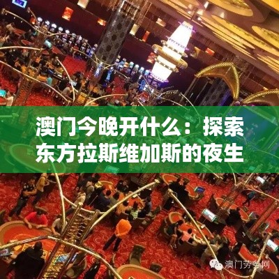 澳門今晚開什么：探索東方拉斯維加斯的夜生活奧秘