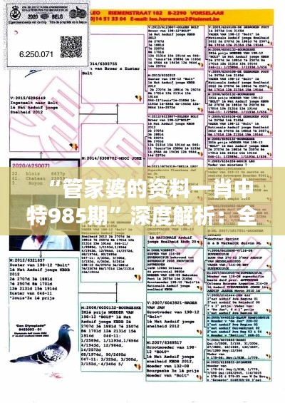 “管家婆的資料一肖中特985期”深度解析：全方位透析獨(dú)特性