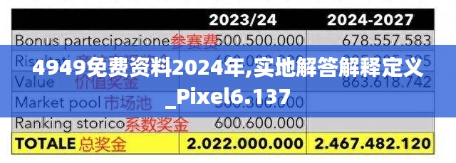 4949免費(fèi)資料2024年,實(shí)地解答解釋定義_Pixel6.137