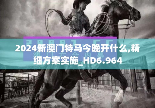2024新澳門特馬今晚開什么,精細方案實施_HD6.964