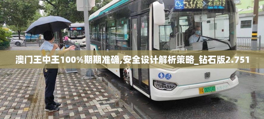 澳門王中王100%期期準確,安全設(shè)計解析策略_鉆石版2.751