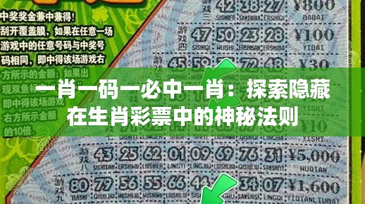 一肖一碼一必中一肖：探索隱藏在生肖彩票中的神秘法則